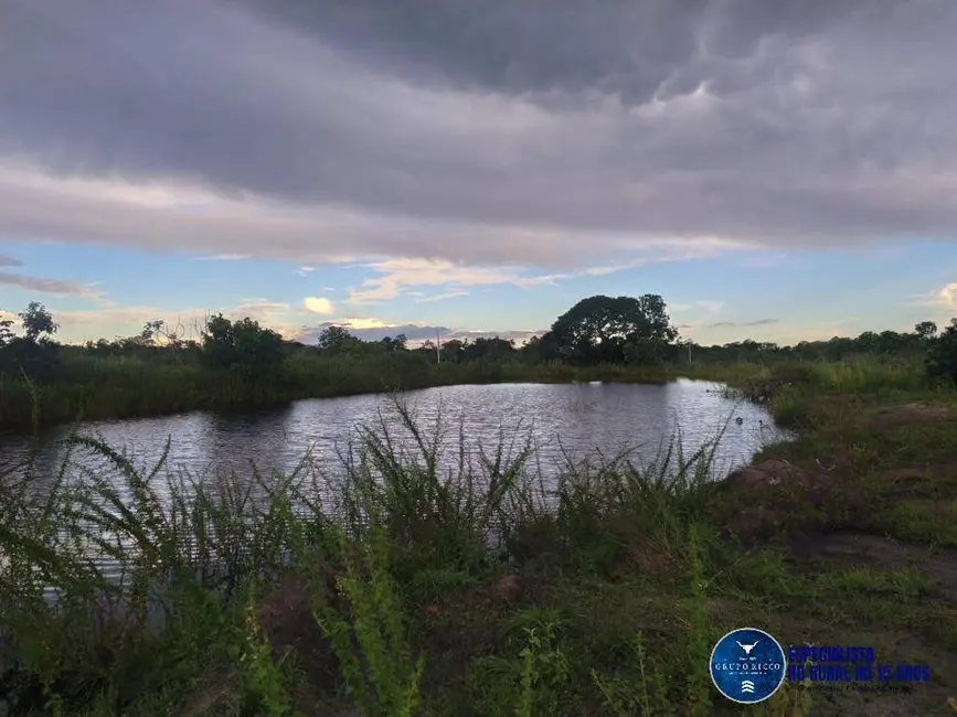 Foto 4 de Fazenda / Haras à venda, 740m2 em Parana - TO