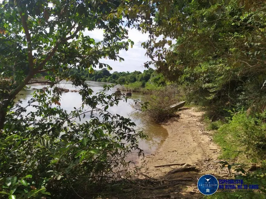 Foto 8 de Fazenda / Haras à venda, 740m2 em Parana - TO