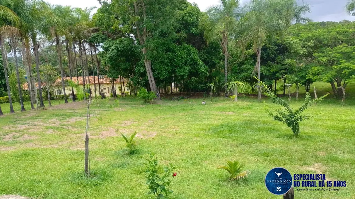 Foto 6 de Chácara à venda em Piracanjuba - GO
