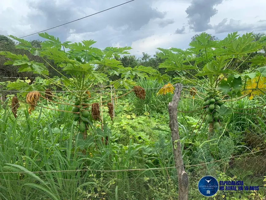 Foto 8 de Chácara à venda em Piracanjuba - GO