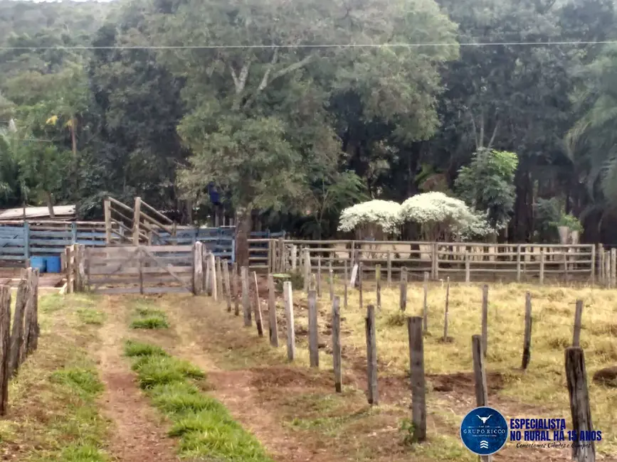 Foto 2 de Chácara à venda em Piracanjuba - GO