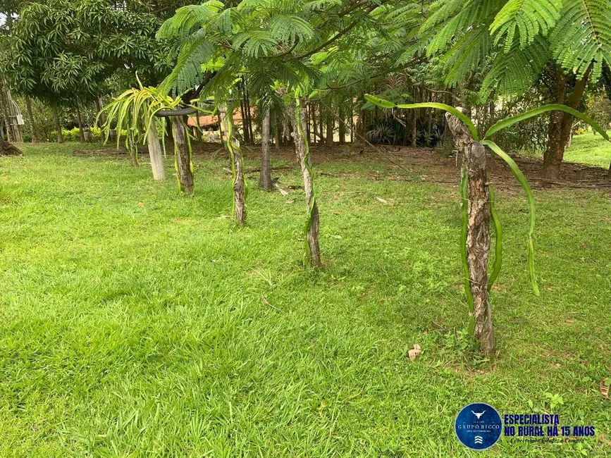 Foto 18 de Chácara à venda em Piracanjuba - GO