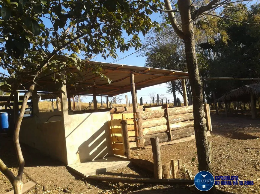 Foto 10 de Chácara à venda em Piracanjuba - GO