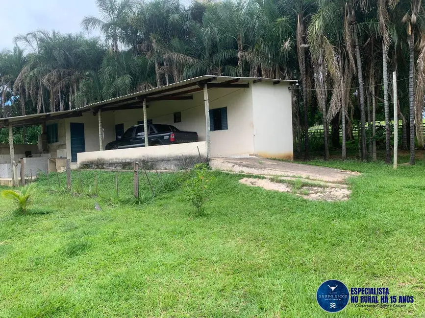 Foto 4 de Chácara à venda em Piracanjuba - GO