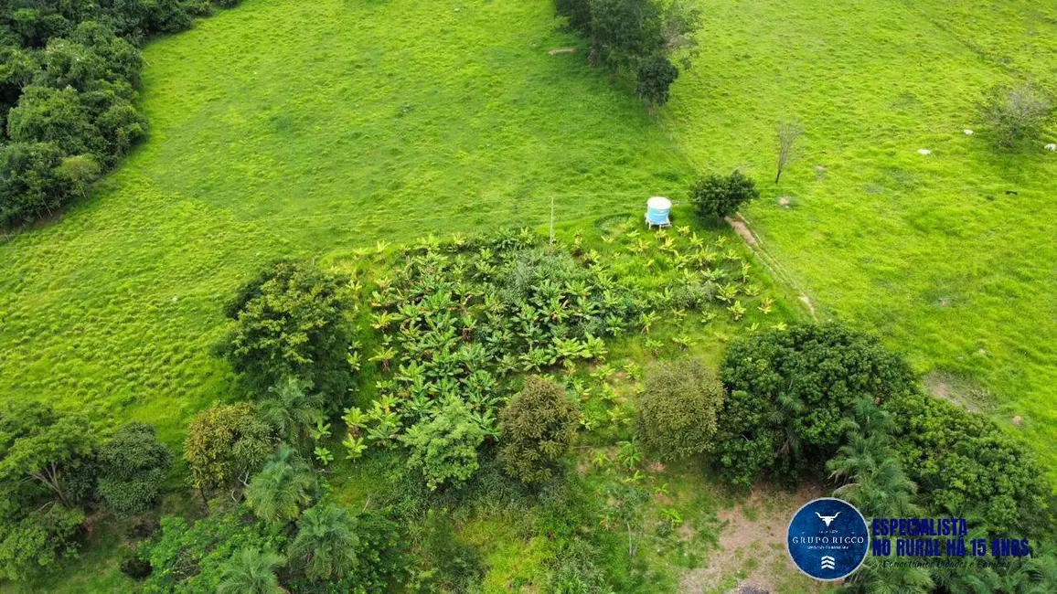 Foto 7 de Chácara à venda em Piracanjuba - GO
