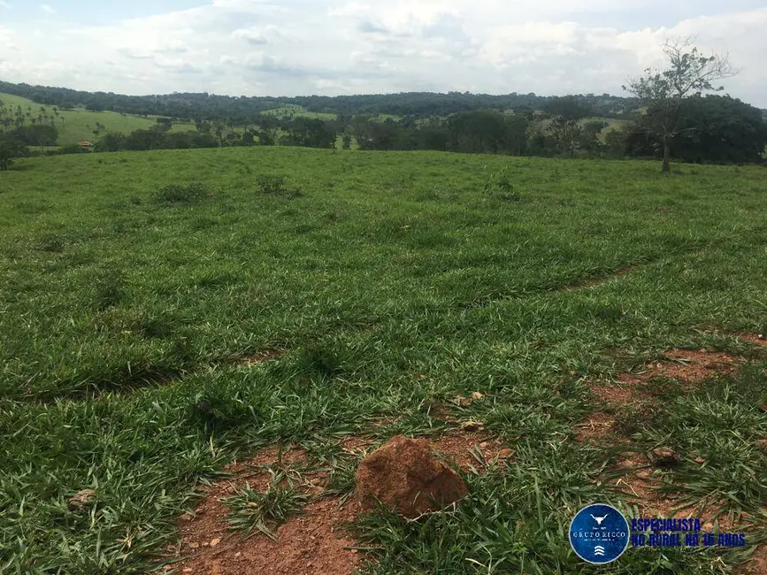 Foto 6 de Sítio / Rancho à venda, 24m2 em Petrolina De Goias - GO