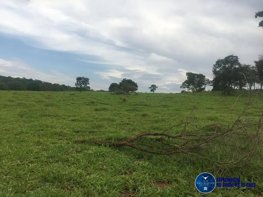 Foto 8 de Sítio / Rancho à venda, 24m2 em Petrolina De Goias - GO