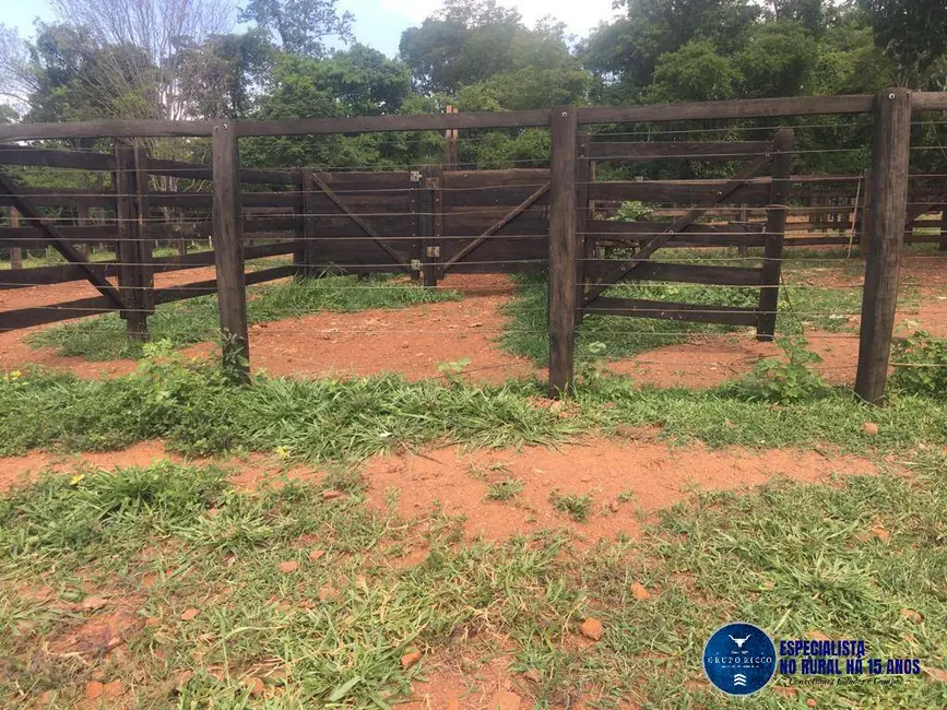 Foto 3 de Sítio / Rancho à venda, 24m2 em Petrolina De Goias - GO