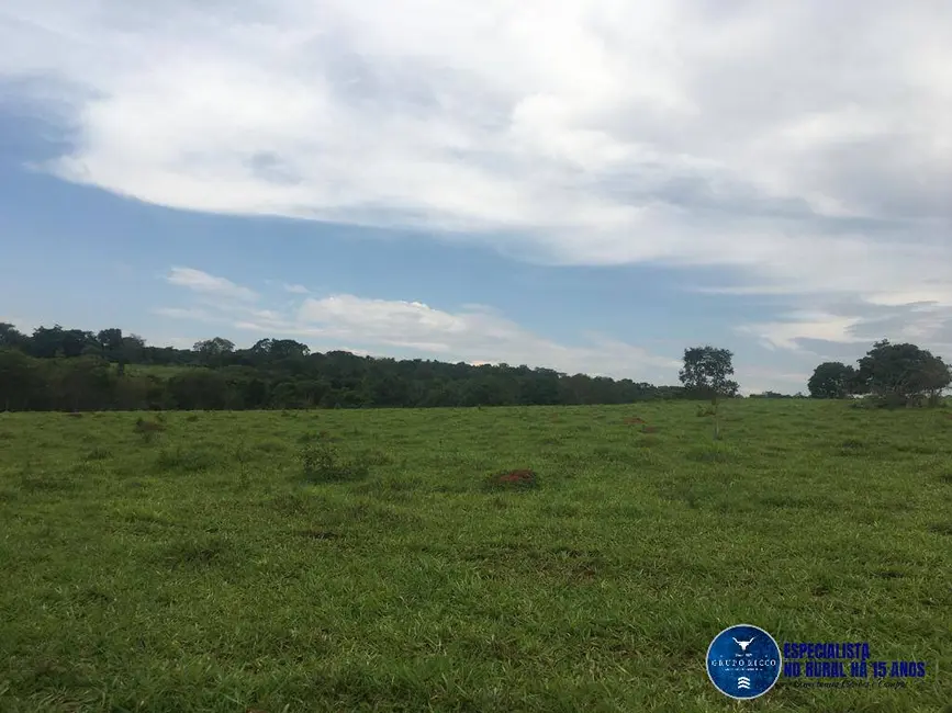 Foto 1 de Sítio / Rancho à venda, 24m2 em Petrolina De Goias - GO
