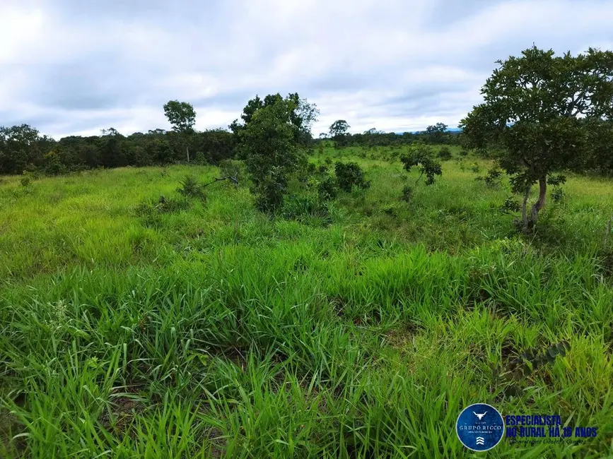 Foto 9 de Fazenda / Haras à venda, 111m2 em Aragarcas - GO