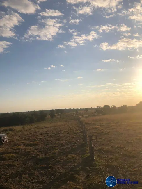 Foto 3 de Fazenda / Haras à venda, 111m2 em Aragarcas - GO