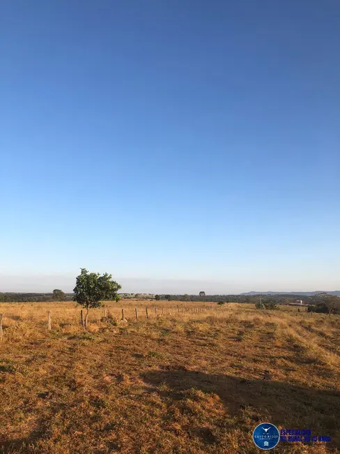 Foto 8 de Fazenda / Haras à venda, 111m2 em Aragarcas - GO