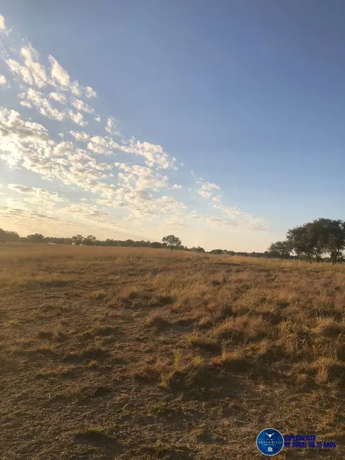 Foto 6 de Fazenda / Haras à venda, 111m2 em Aragarcas - GO