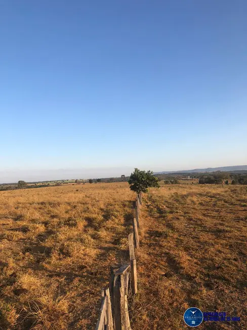 Foto 5 de Fazenda / Haras à venda, 111m2 em Aragarcas - GO