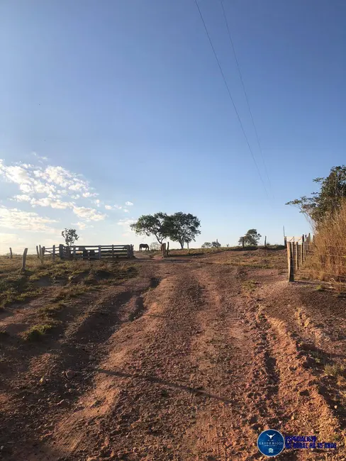 Foto 7 de Fazenda / Haras à venda, 111m2 em Aragarcas - GO