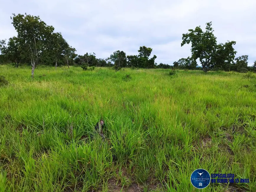 Foto 1 de Fazenda / Haras à venda, 111m2 em Aragarcas - GO