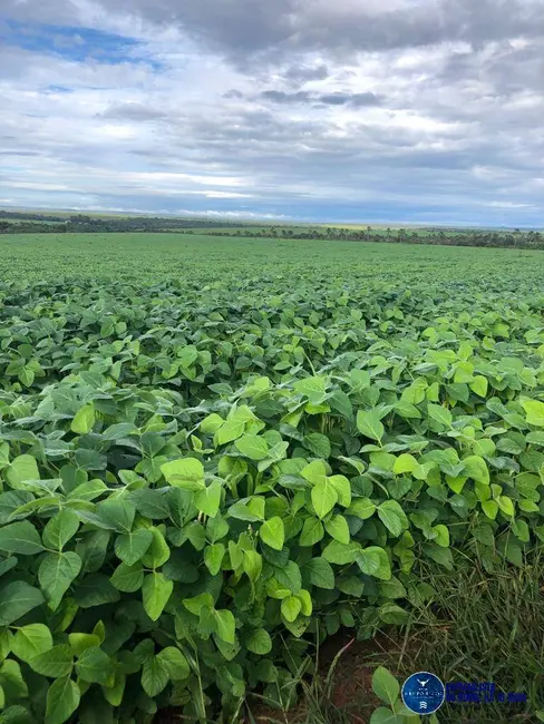 Foto 1 de Fazenda / Haras à venda, 80m2 em Jatai - GO