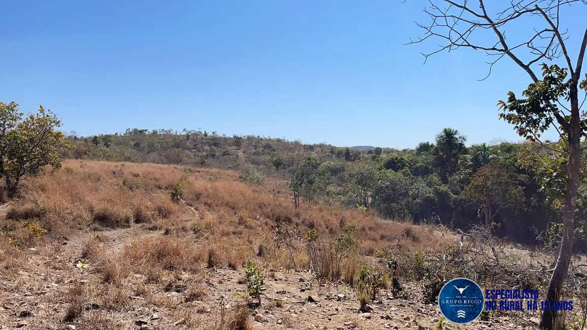 Foto 13 de Chácara à venda, 15m2 em Faina - GO