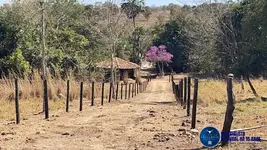 Imagem 10