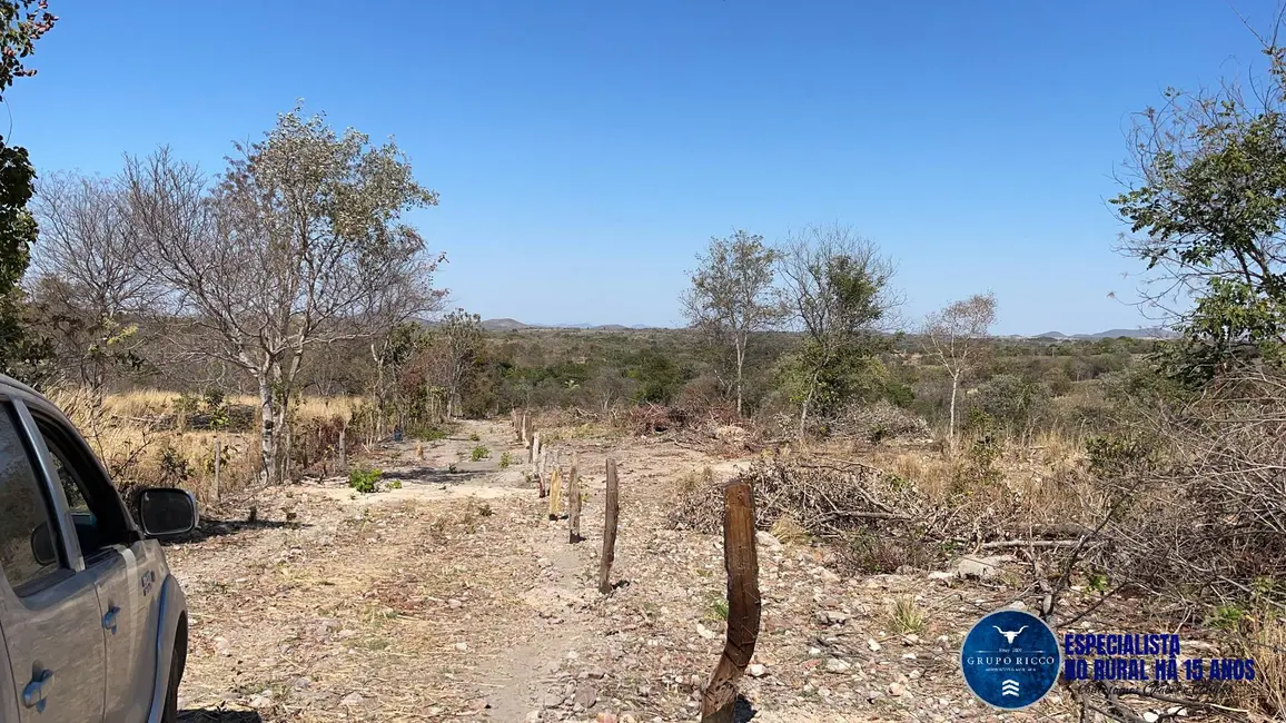 Chácara à venda, 15m2 em Faina - GO - imagem 6 Foto 6 de Chácara à venda, 15m2 em Faina - GO