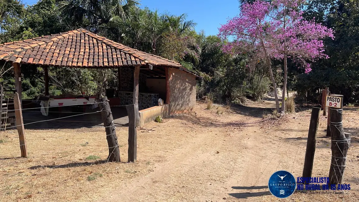 Chácara à venda, 15m2 em Faina - GO - imagem 7 Foto 7 de Chácara à venda, 15m2 em Faina - GO