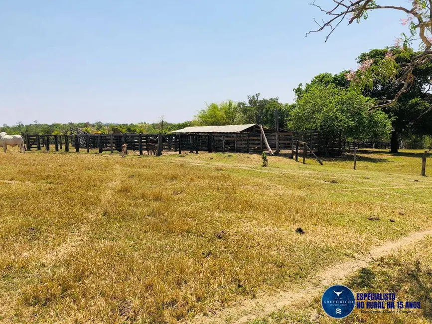 Foto 6 de Sítio / Rancho com 3 quartos à venda, 19m2 em Morro Agudo De Goias - GO