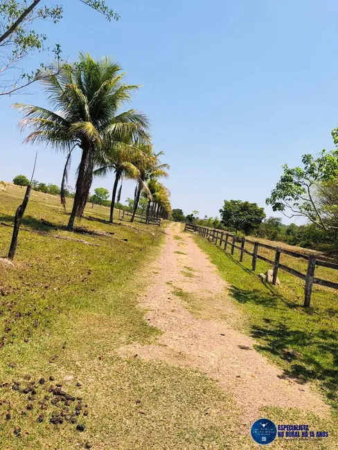 Foto 9 de Sítio / Rancho com 3 quartos à venda, 19m2 em Morro Agudo De Goias - GO