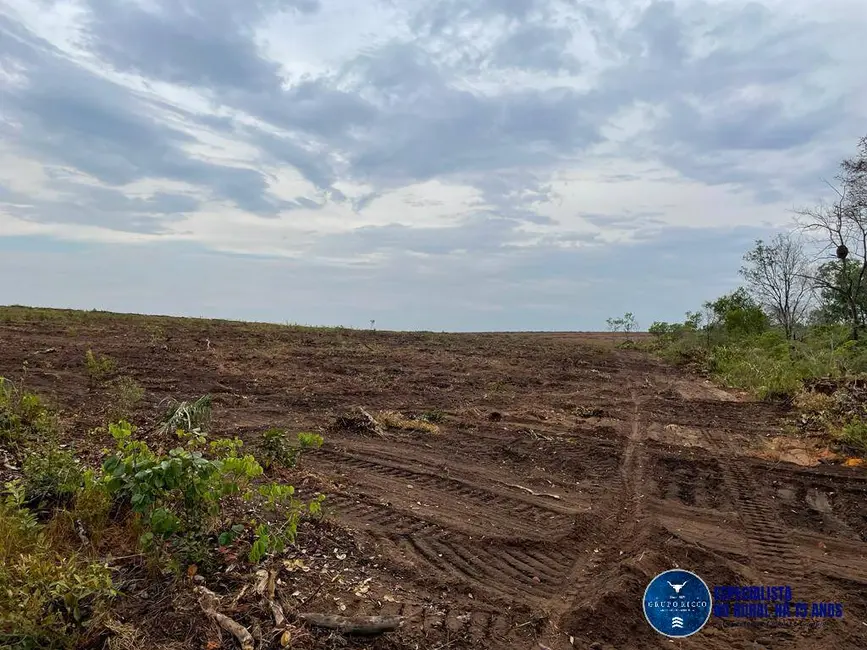 Foto 1 de Fazenda / Haras à venda, 1020m2 em Goiatins - TO