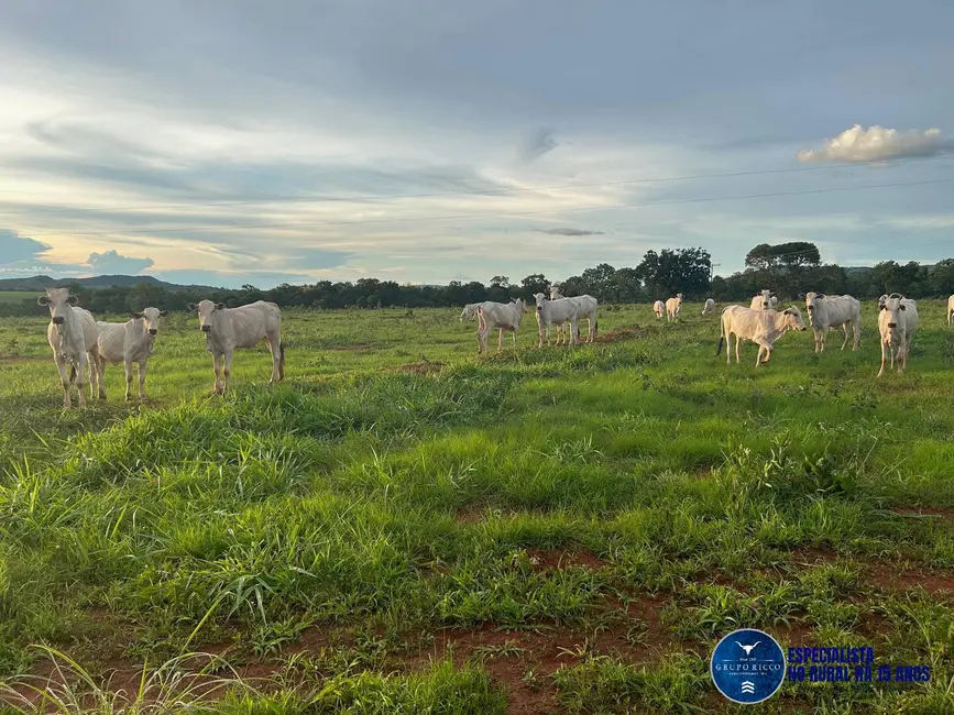 Foto 4 de Chácara à venda, 8m2 em Montes Claros De Goias - GO