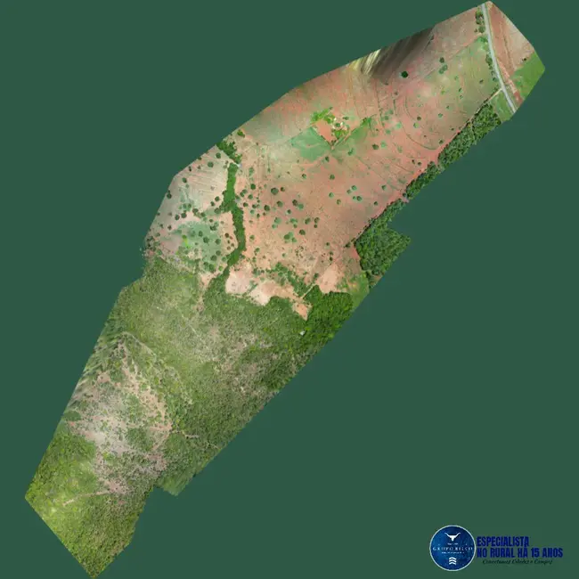 Foto 3 de Chácara à venda, 8m2 em Montes Claros De Goias - GO