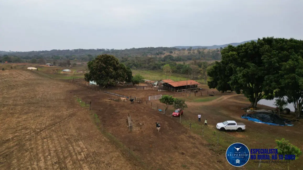 Foto 12 de Chácara à venda em Guapo - GO