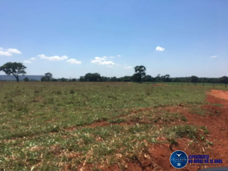 Foto 1 de Fazenda / Haras à venda, 43m2 em Quirinopolis - GO