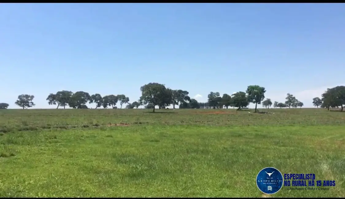 Foto 3 de Fazenda / Haras à venda, 43m2 em Quirinopolis - GO