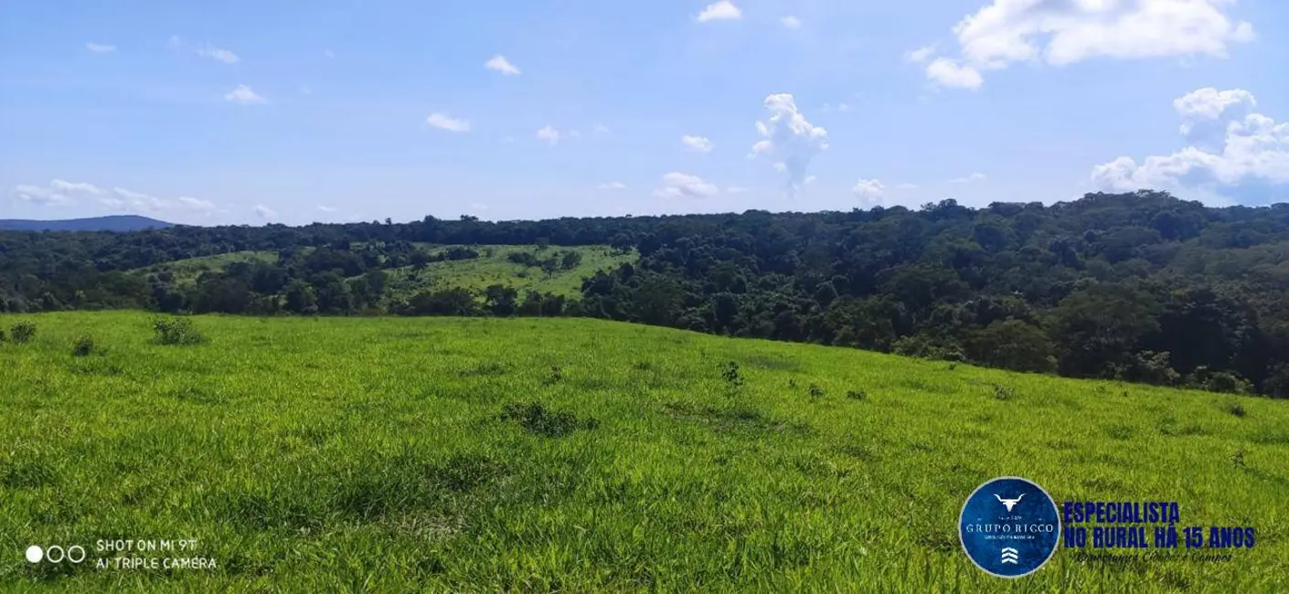 Foto 1 de Fazenda / Haras à venda, 40m2 em Jaragua - GO