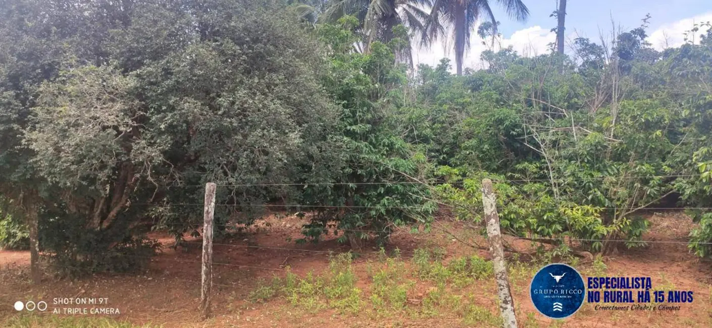 Foto 4 de Fazenda / Haras à venda, 40m2 em Jaragua - GO