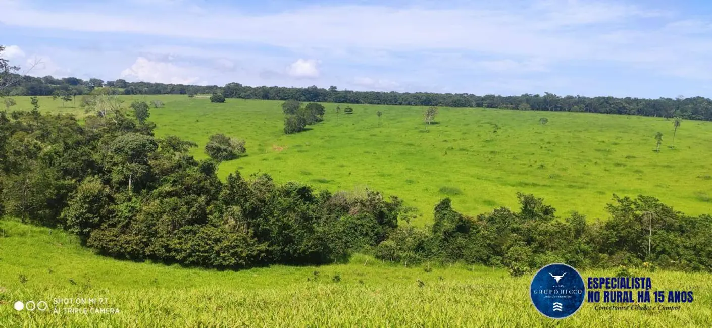 Foto 5 de Fazenda / Haras à venda, 40m2 em Jaragua - GO