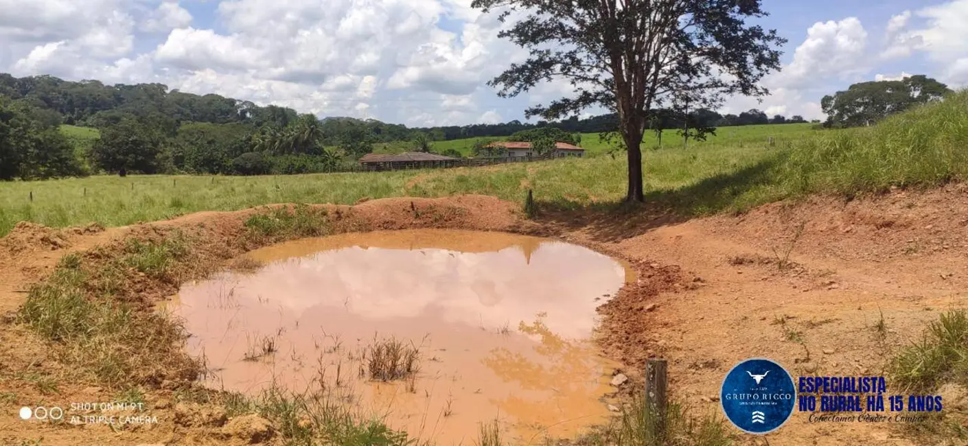 Foto 7 de Fazenda / Haras à venda, 40m2 em Jaragua - GO