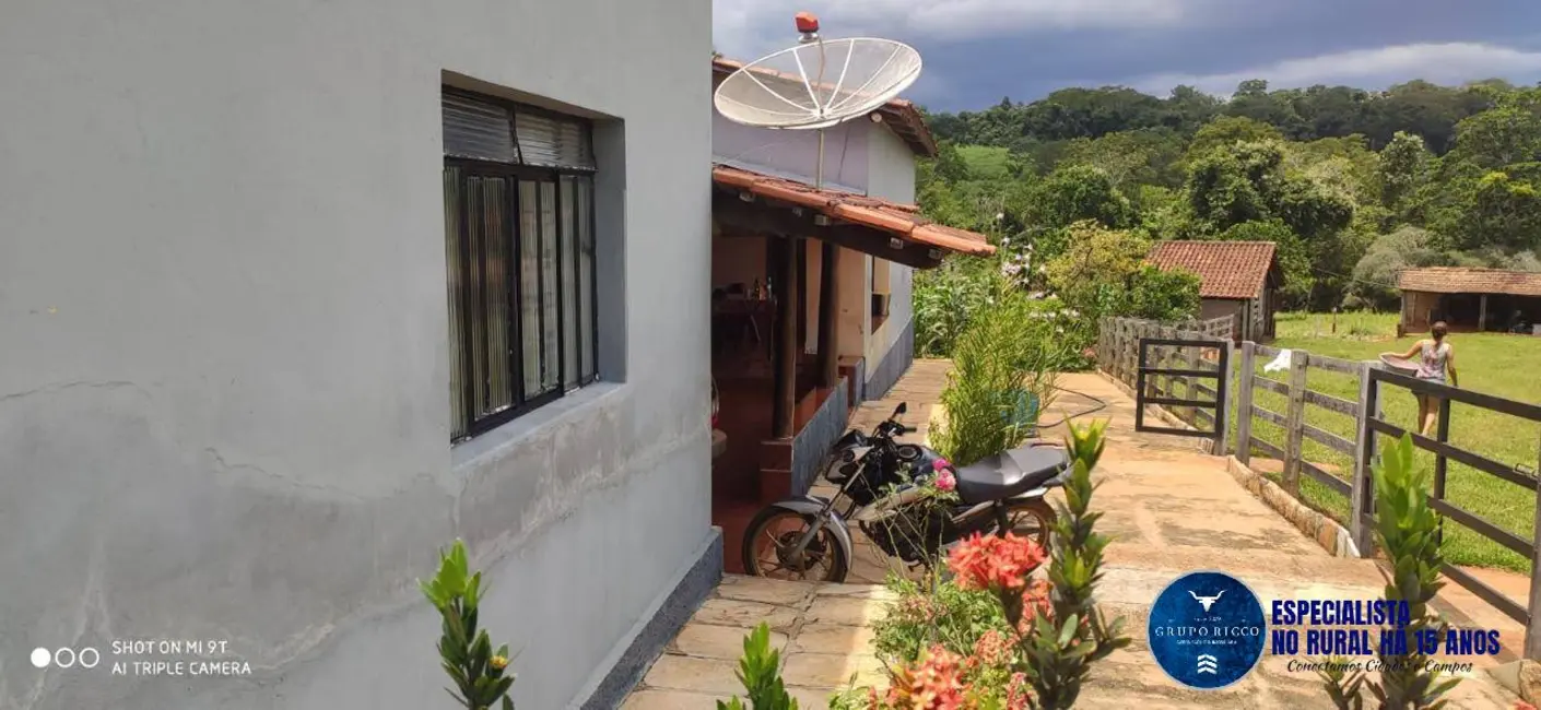 Foto 3 de Fazenda / Haras à venda, 40m2 em Jaragua - GO