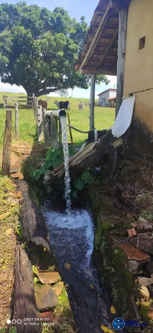 Foto 6 de Fazenda / Haras à venda, 40m2 em Jaragua - GO