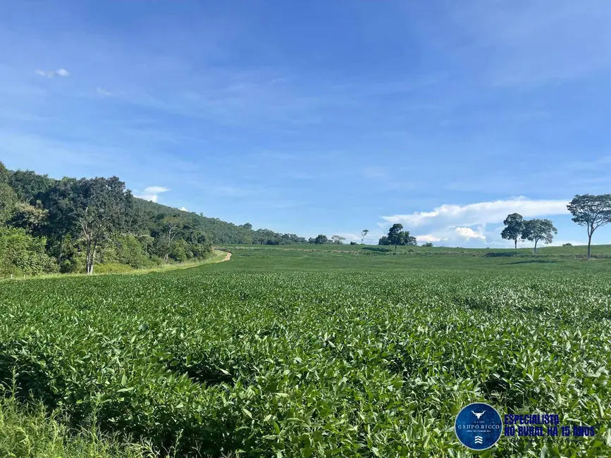 Fazenda / Haras à venda, 62m2 em Sao Francisco De Goias - GO - imagem 9 Foto 9 de Fazenda / Haras à venda, 62m2 em Sao Francisco De Goias - GO