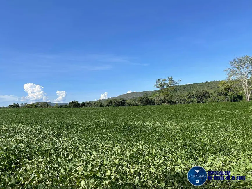 Fazenda / Haras à venda, 62m2 em Sao Francisco De Goias - GO - imagem 1 Foto 1 de Fazenda / Haras à venda, 62m2 em Sao Francisco De Goias - GO
