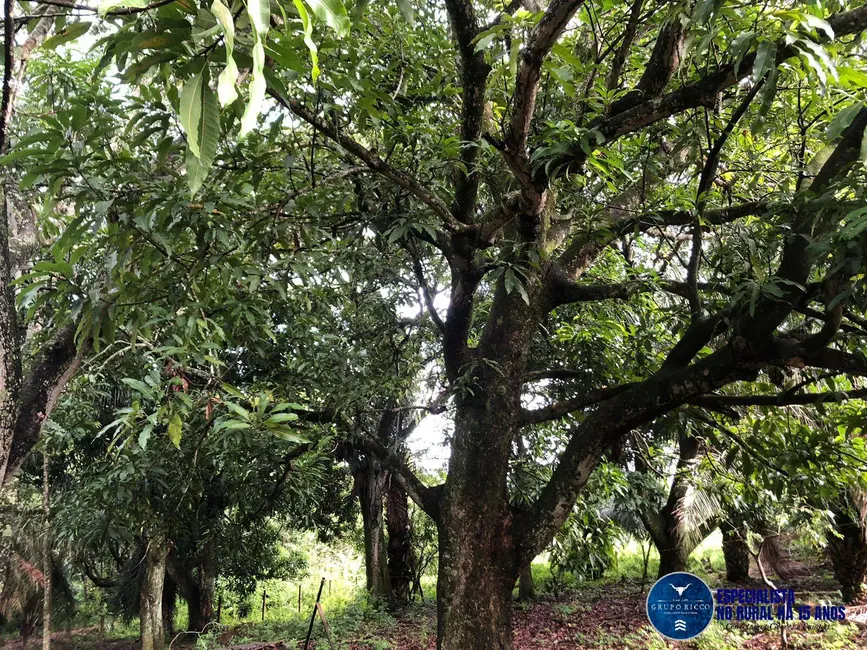 Chácara com 4 quartos à venda em Santa Barbara De Goias - GO - imagem 9 Foto 9 de Chácara com 4 quartos à venda em Santa Barbara De Goias - GO