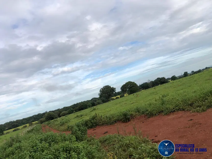 Chácara com 4 quartos à venda em Santa Barbara De Goias - GO - imagem 2 Foto 2 de Chácara com 4 quartos à venda em Santa Barbara De Goias - GO