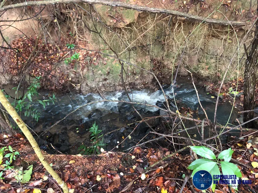 Chácara com 4 quartos à venda em Santa Barbara De Goias - GO - imagem 5 Foto 5 de Chácara com 4 quartos à venda em Santa Barbara De Goias - GO