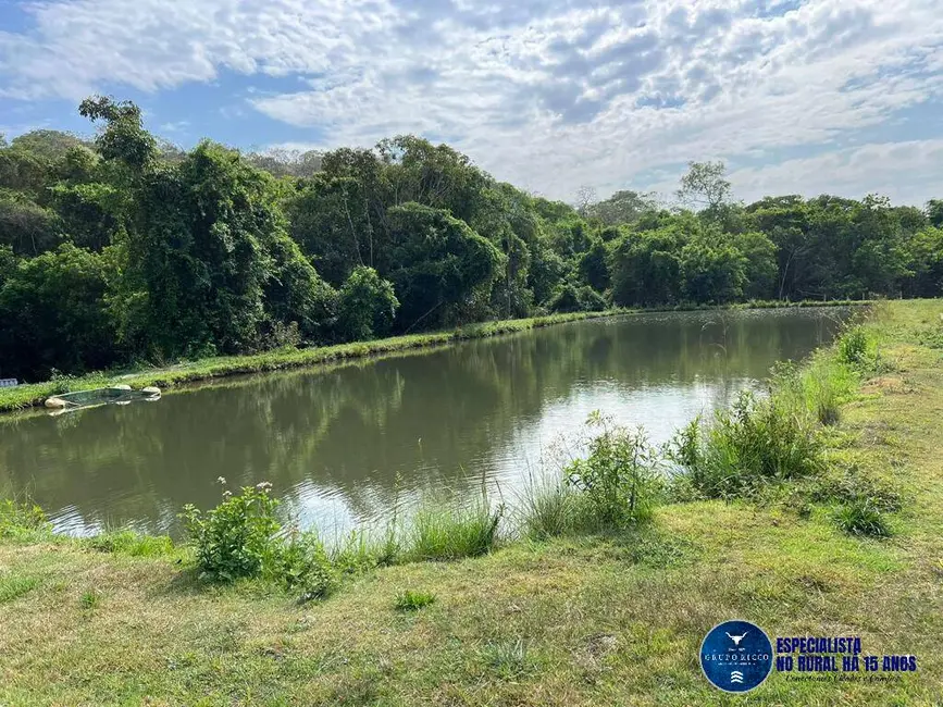 Foto 9 de Chácara à venda em Setor Central, Sao Miguel Do Passa Quatro - GO
