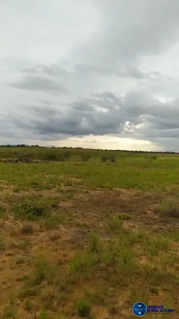 Foto 3 de Fazenda / Haras à venda, 922m2 em Bonfim - RR