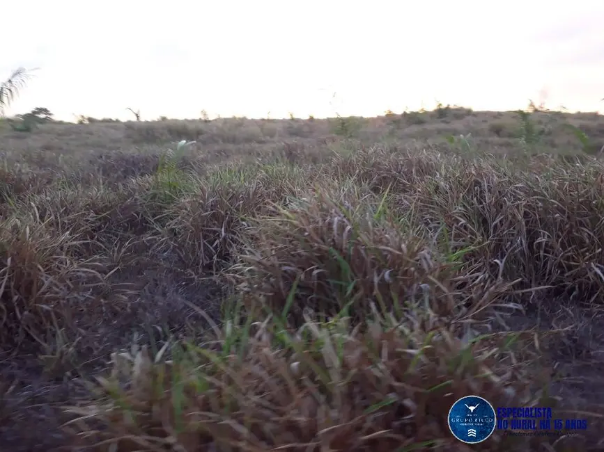 Foto 6 de Fazenda / Haras à venda, 1347m2 em Canta - RR