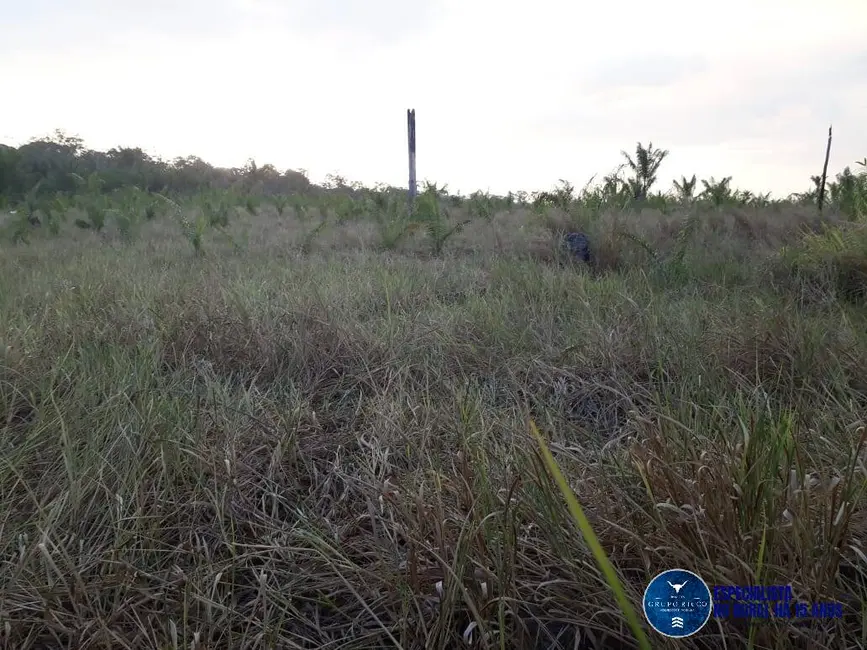 Foto 3 de Fazenda / Haras à venda, 1347m2 em Canta - RR