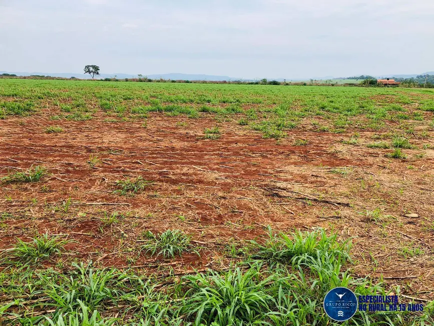 Foto 6 de Chácara com 4 quartos à venda em Itaberai - GO