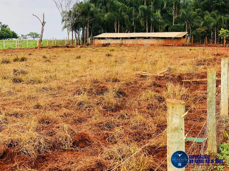 Foto 4 de Chácara com 4 quartos à venda em Itaberai - GO